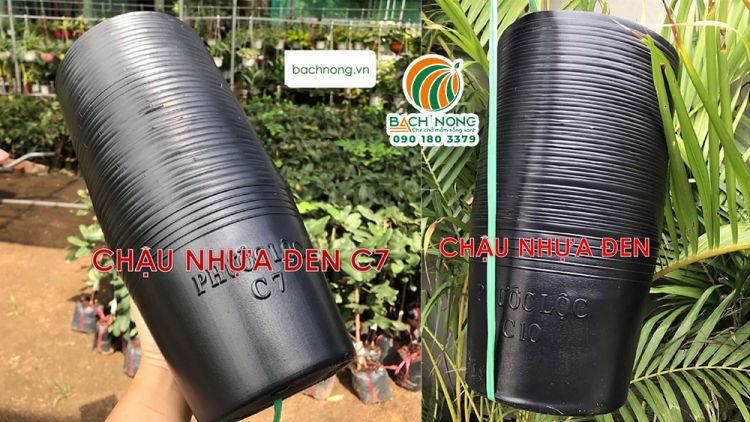 Chậu nhựa mềm C7 và C10 dễ dàng xếp lớp gọn gàng