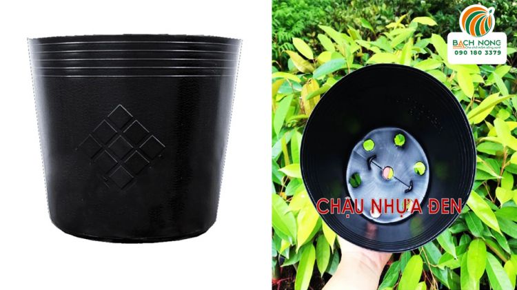 Chậu nhựa mềm C8 màu đen Đặc điểm bên ngoài và bên trong chậu C8 màu đen