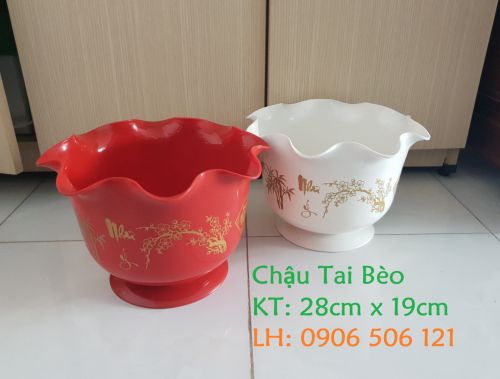 Chậu in bông tai bèo