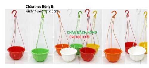 Chậu nhựa bông bí trồng hoa có móc