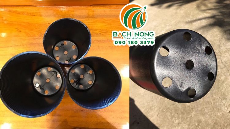 Phần miệng và đáy của chậu ươm sầu riêng Phần miệng và đáy có nhiều lỗ của chậu ươm sầu riêng