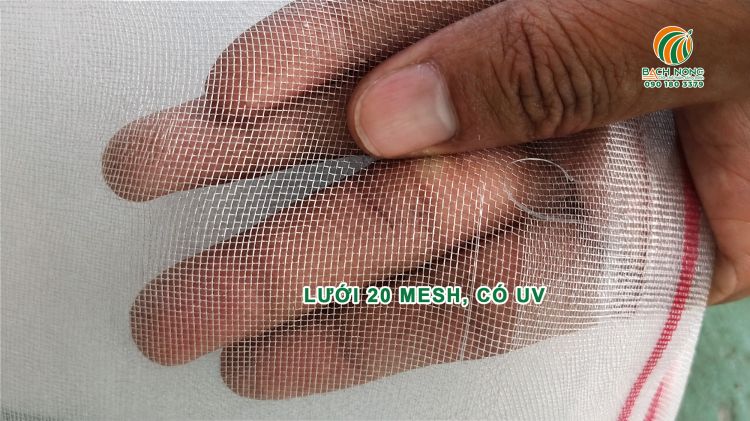 Cận cảnh ô lưới 20 mesh, sợi lưới có UV sáng bóng