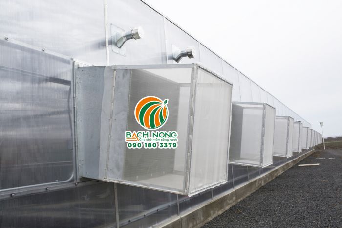 Lắp đặt lưới ngăn côn trùng tại vị trí quạt thông gió của nhà kính