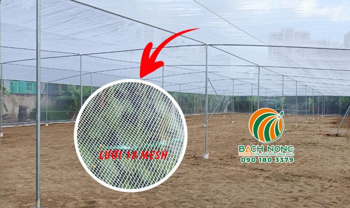 Sử dụng lưới 18 mesh lợp mái cho nhà nhà lưới trồng rau sạch