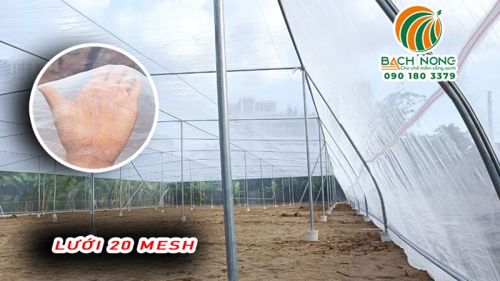 Lưới 20 mesh sử dụng làm nhà lưới trồng rau mái bằng