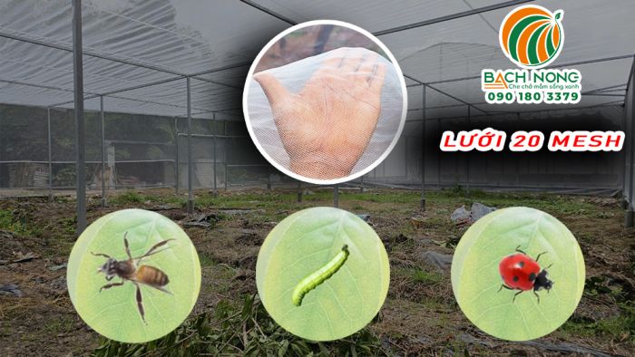 Lưới 20 mesh ngăn nhiều loại côn trùng lớn và sâu ăn lá