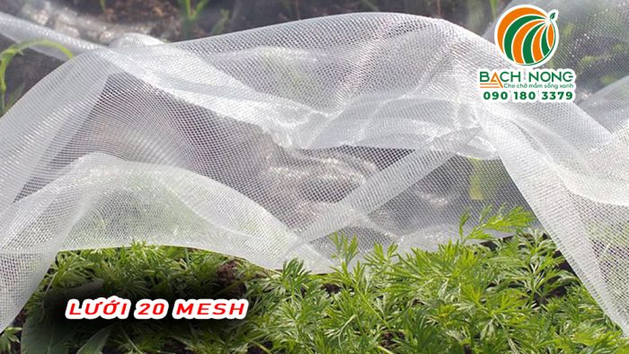 Sử dụng lưới 20 mesh trồng rau sạch tại nhà