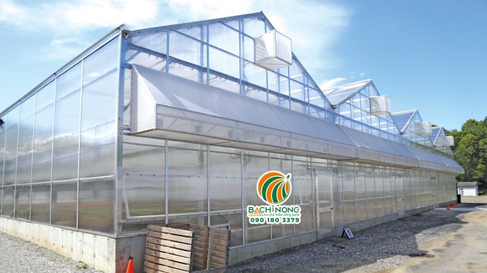 Sử dụng lưới 50 mesh cho nhà kính