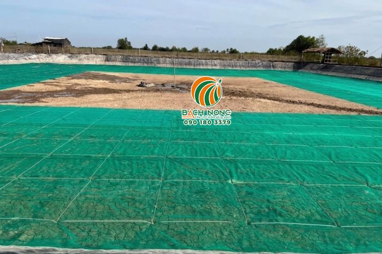 Ao tôm đất lót đáy bằng lưới cước màu xanh, 5ly