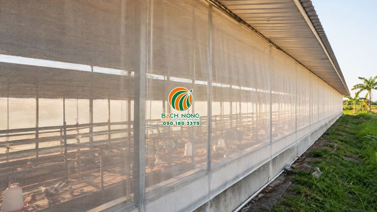 Lưới chống ruồi muỗi căng vách chuồng trại thông thoáng