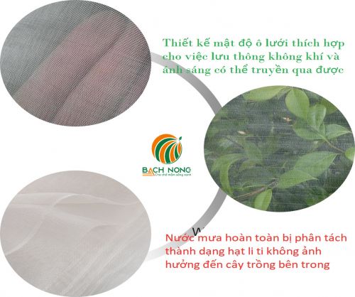 Lưới ngăn sâu bọ có mật độ khít