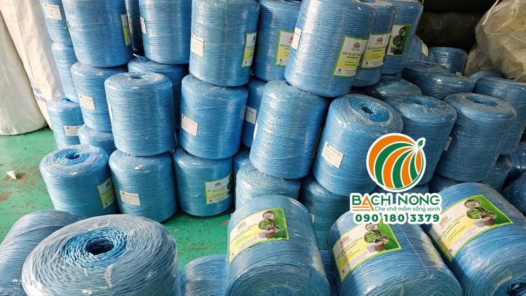 Các cuộn dây cột chuối màu xanh dương xếp gọn trong kho LƯỚI BÁCH NÔNG