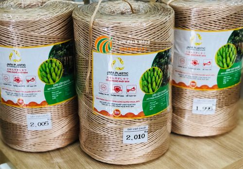 Dây cột chuối giúp chống ngã đổ Dây cột chuối giúp chống ngã đổ