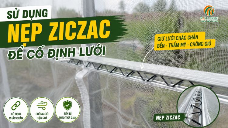 Dùng thanh nẹp và lò xo ziczac để cố định chắc chắn lưới vào khung chuồng trại
