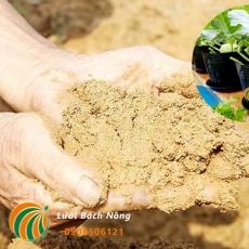 Có nên trộn cát với đất trồng trong chậu không?