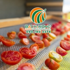 Sự khác nhau giữ sấy và phơi nông sản