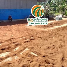 Lý do nên sử dụng nhà màng thay vì phơi xơ dừa ngoài trời