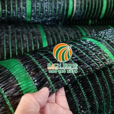 Cách phân biệt lưới che nắng Thái Lan
