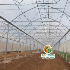 Top 3 kiểu nhà kính trồng rau sạch phổ biến