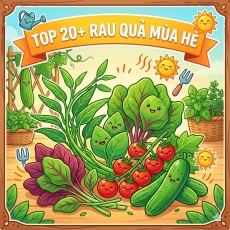 Mùa hè trồng rau gì? Top 20+ loại rau quả chịu nhiệt siêu năng suất 2026