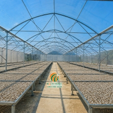 Bàn giao dự án 2000m² nhà màng phơi cá cơm