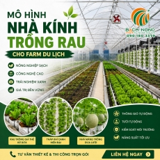 Mô hình nhà kính trồng rau công nghệ cao cho Farm du lịch