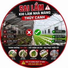 Sai lầm khi thi công nhà màng thủy canh
