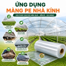 6 ứng dụng phổ biến của màng PE nhà kính