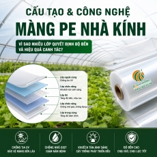 Cấu tạo màng PE nhà kính: Công nghệ tạo nên chất lượng