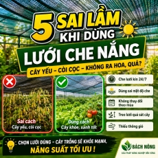 5 Lỗi dùng lưới che Nắng Làm cây trồng chậm phát triển