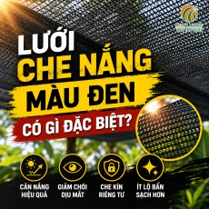 Lưới che nắng màu đen có gì đặc biệt?