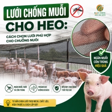 Lưới chống muỗi cho heo: Cách chọn lưới phù hợp cho chuồng nuôi