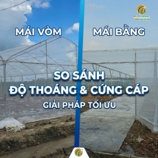 Sự khác biệt giữa nhà lưới mái bằng và mái vòm