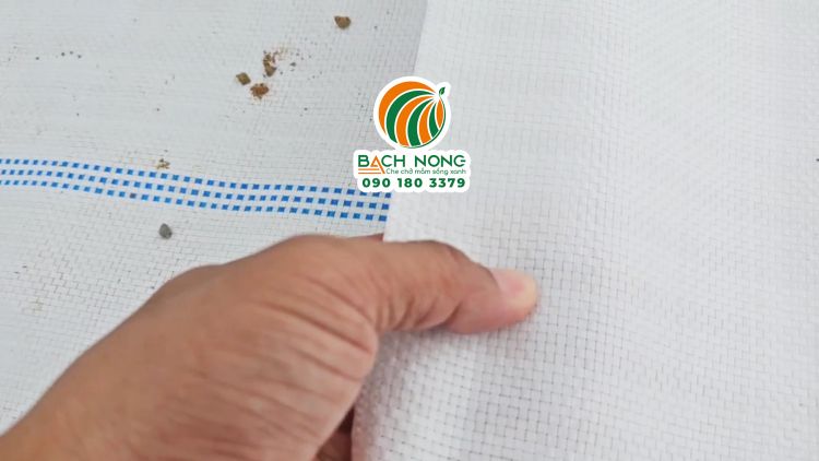 Bạt trải nền nhà kính được thiết kế với các lỗ li ti giúp thoát nước hiệu quả
