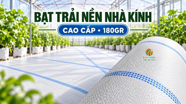 Bạt trắng trải nền nhà kính 180gr Bạt trải nền nhà kính màu trắng, định lượng 180gr