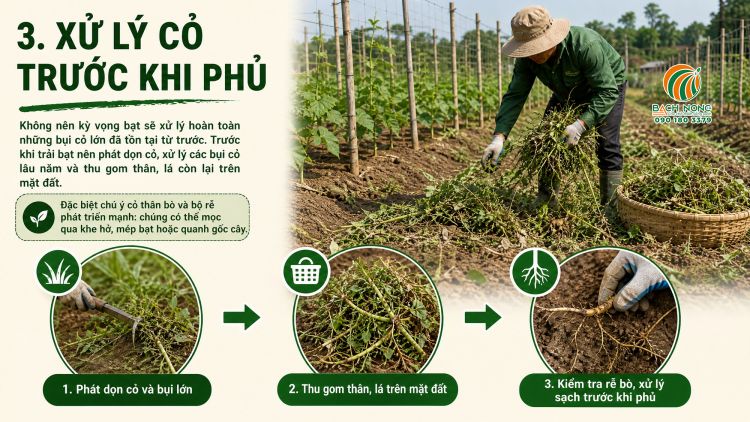 Xử lý cỏ dại cho khu vực cần trải bạt phủ để ngăn cỏ