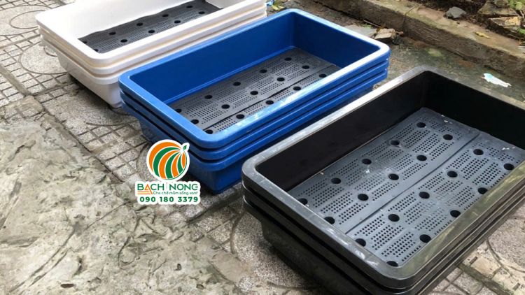 Khay nhựa hình chữ nhật loại lớn