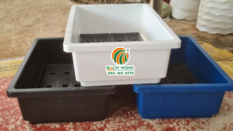 3 khay nhựa trồng rau màu trắng, đen và xanh