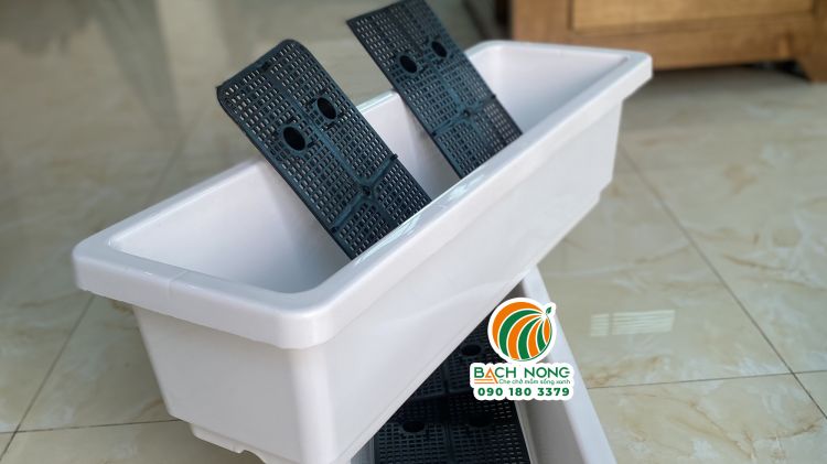 Khay nhựa trồng rau thiết kế lưới ngăn đất để giữ nước
