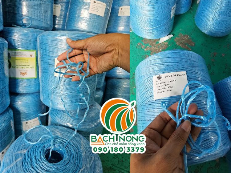 Dây nhà kính màu xanh dương, cấu tạo gồm nhiều sợi nhỏ