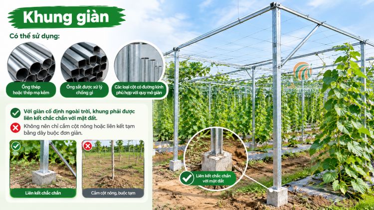 Khung giàn leo dưa lưới, bầu bí chắc chắn