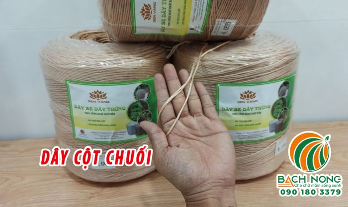 Dây cột chuối được xoắn từ nhiều sợi nhỏ
