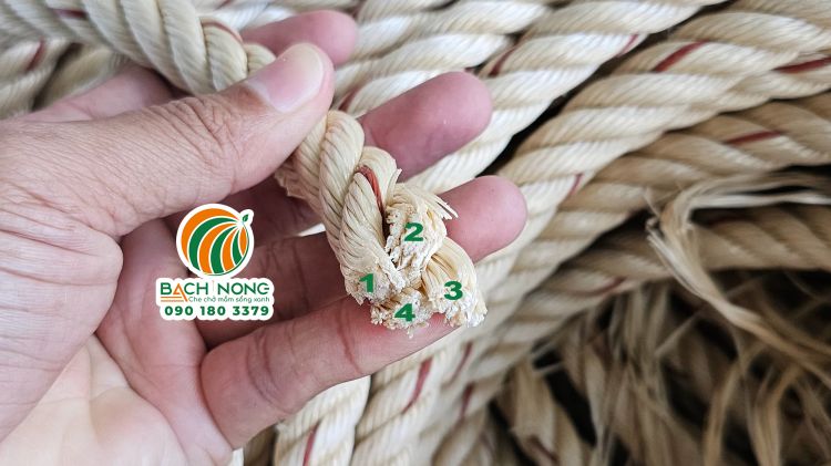 Kiểu xoắn của dây thừng PP 4 tao