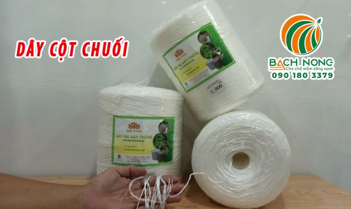 Cuộn dây cột chuối màu trắng, trọng lượng 3Kg