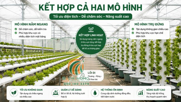 Hệ thống thủy canh kết hợp hai kiểu trồng nằm ngang và trụ đứng