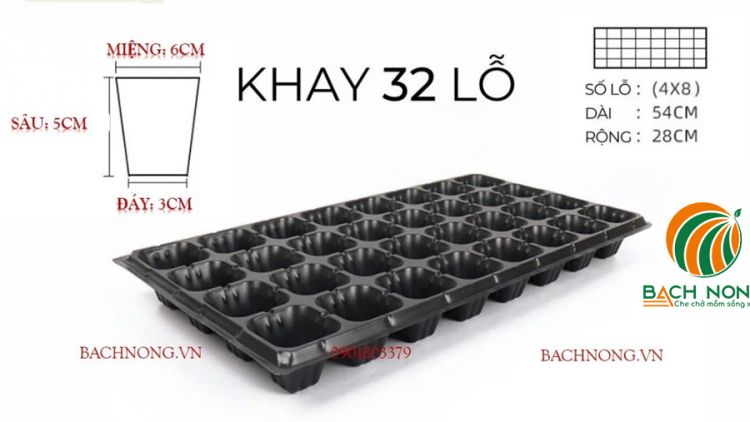 Khay ươm hạt giống loại 32 lỗ kích thước lỗ: 6 x 6 x 5 cm  