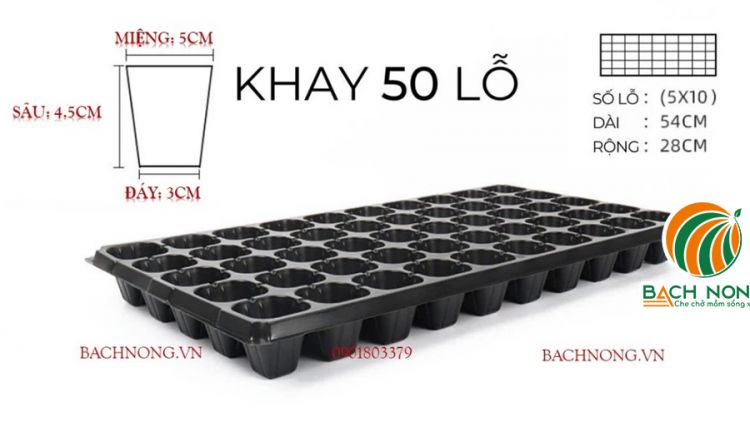 Khay ươm hạt giống loại 50 lỗ (4.5 x 4.5 x 4 cm)