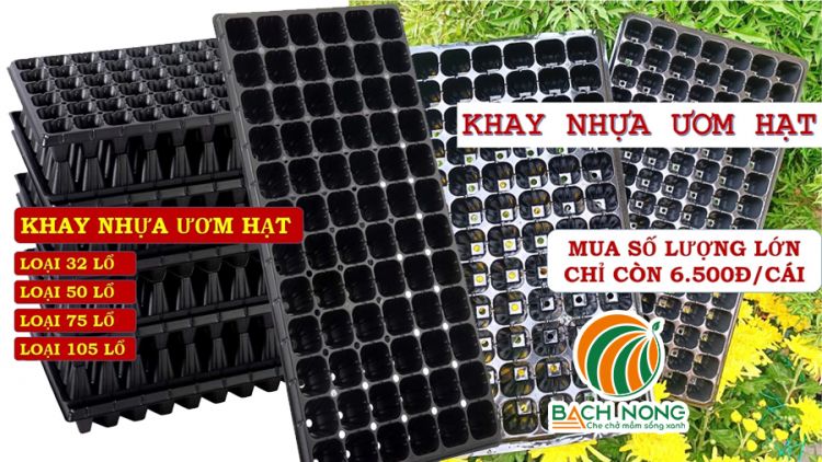 Khay nhựa ươm hạt giống màu đen, nhiều kích thước ô