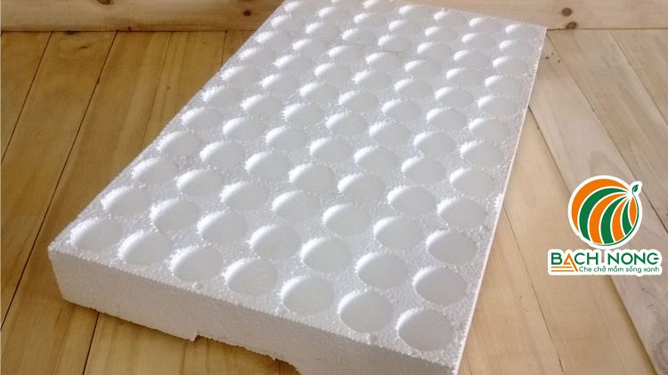 Vĩ xốp ươm hạt giống 84 lỗ màu trắng