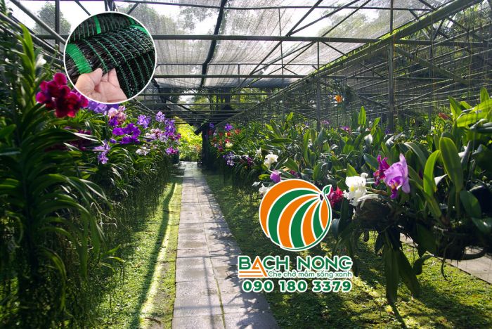 Sử dụng lưới Thái Lan che nắng cho vườn Hoa Lan